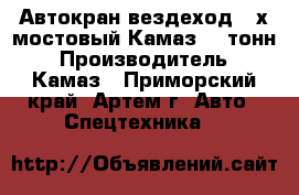 Автокран вездеход 3-х мостовый Камаз 14 тонн › Производитель ­ Камаз - Приморский край, Артем г. Авто » Спецтехника   